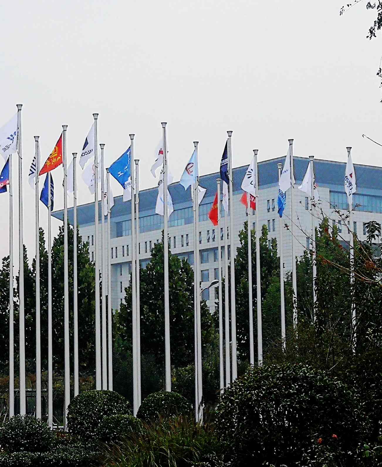 鳳凰涅槃，榮耀淄博